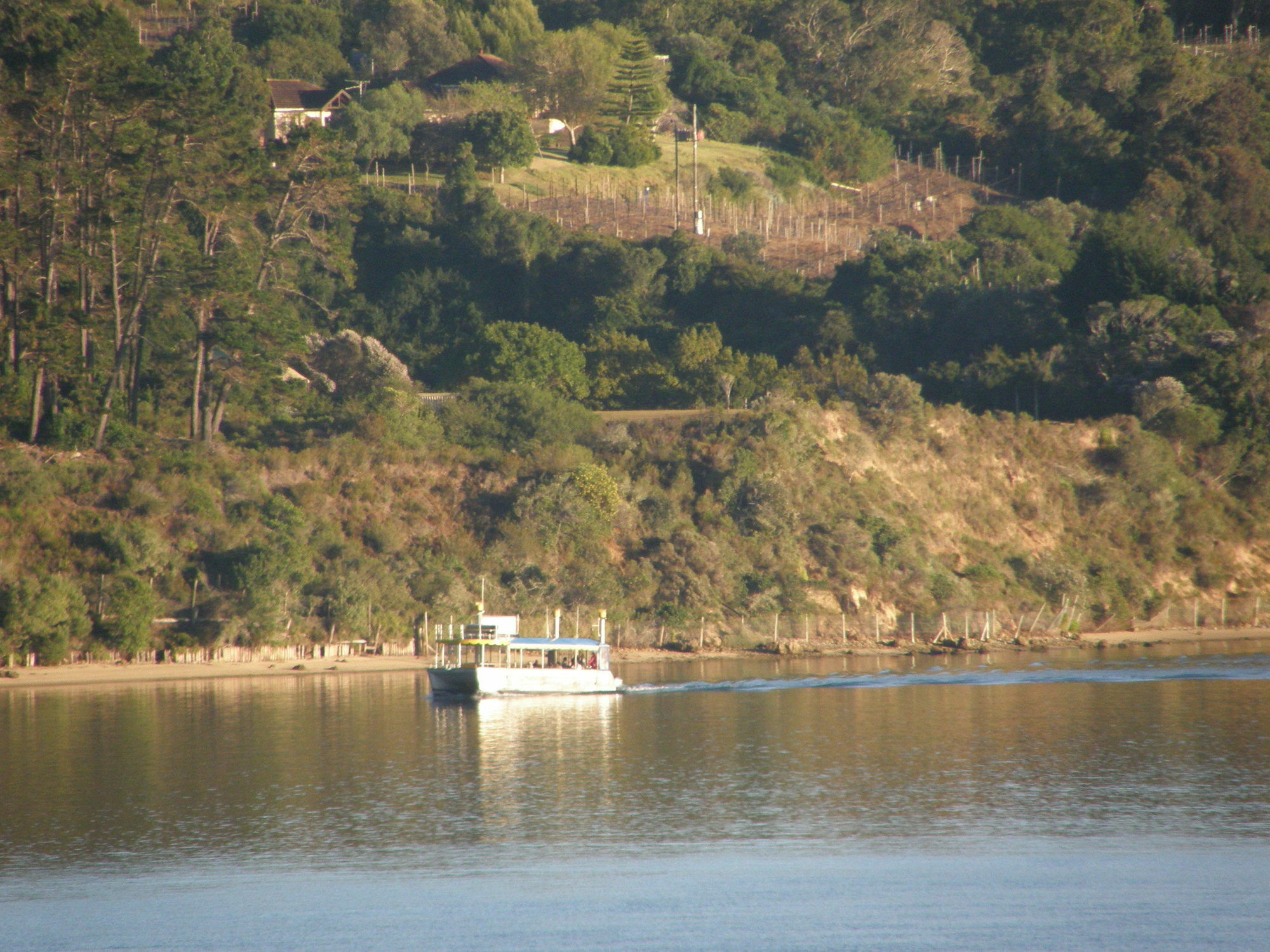 Augusta Bay Guest House Κνύσνα Εξωτερικό φωτογραφία